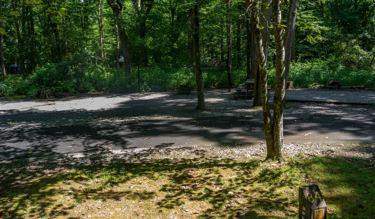DAVIDSON RIVER site 084