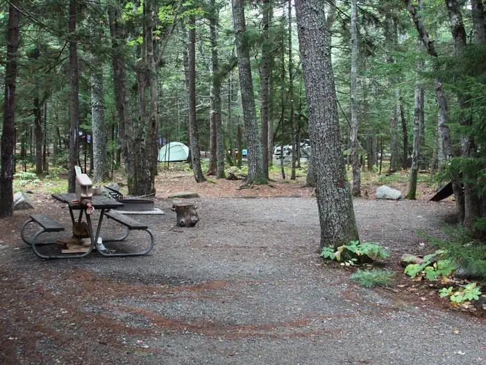 BLACKWOODS CAMPGROUND site B096