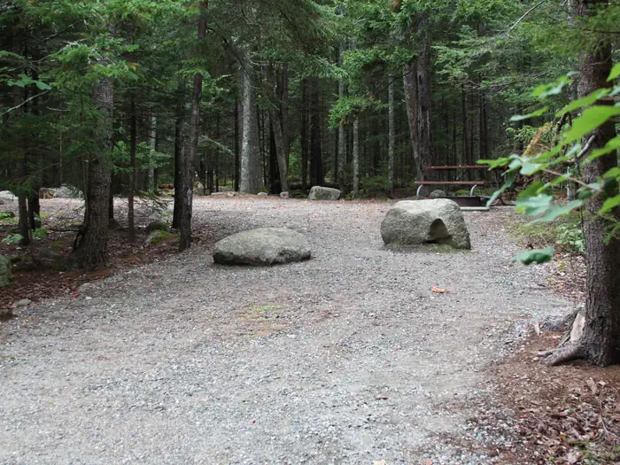 BLACKWOODS CAMPGROUND site B089