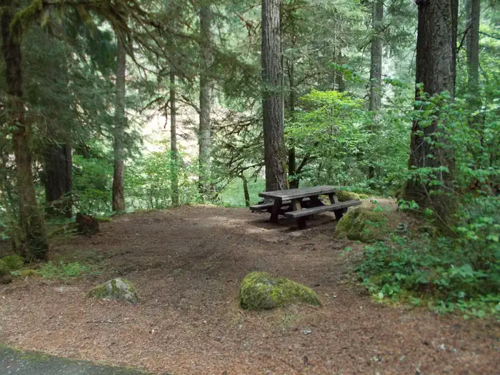 EAGLE ROCK CAMPGROUND site 008