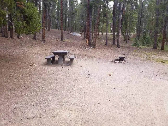 BABY DOE site 019