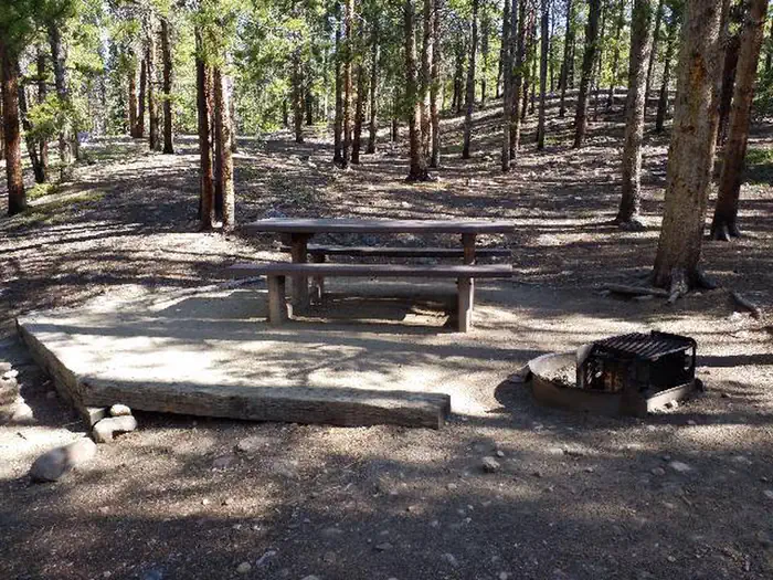 FATHER DYER site 014
