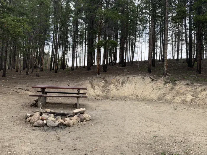 MOLLY BROWN site 001
