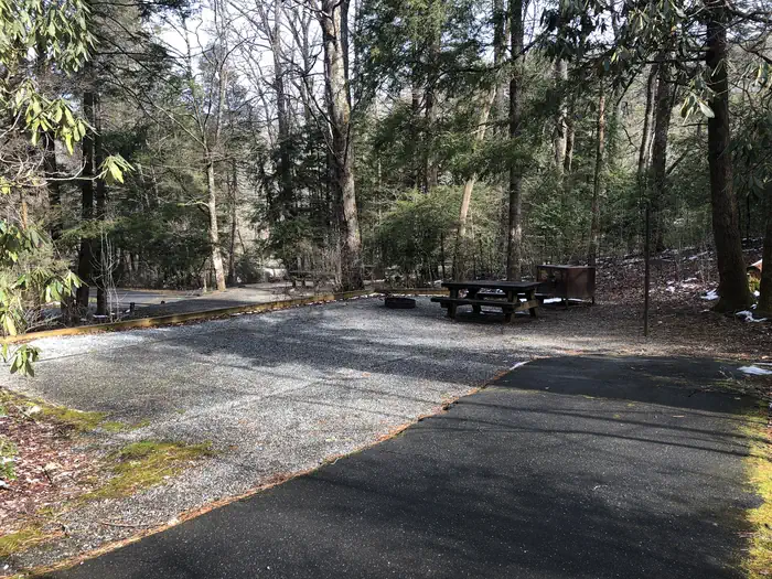 NORTH MILLS RIVER site 017