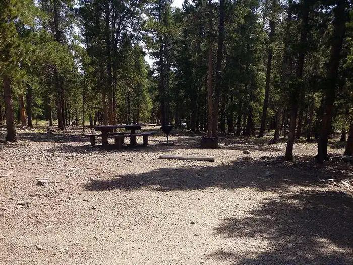 COLUMBINE CAMPGROUND site 010