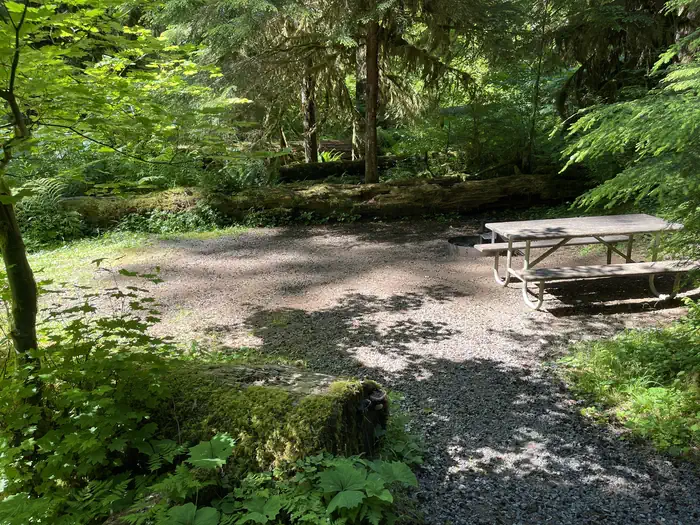 SOL DUC HOT SPRINGS RESORT CAMPGROUND site 043