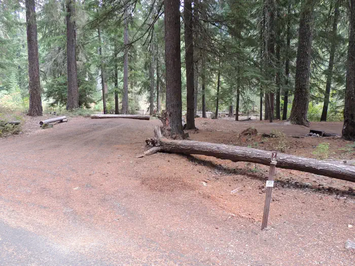 KACHESS site 007