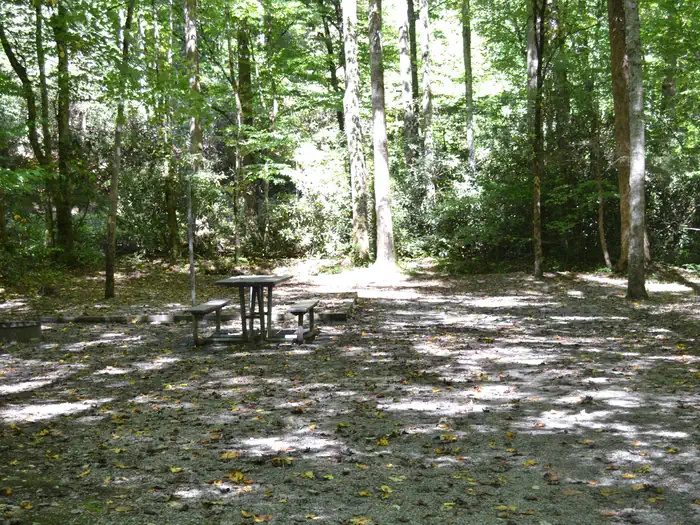 CATALOOCHEE CAMPGROUND site 18