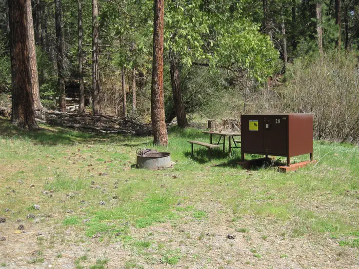 Wawona Campground site 028