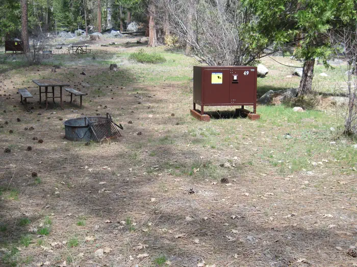 Wawona Campground site 049