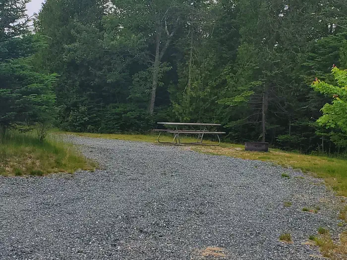 Schoodic Woods Campground site B04