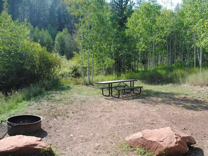 LITTLE MAUD CAMPGROUND site 05