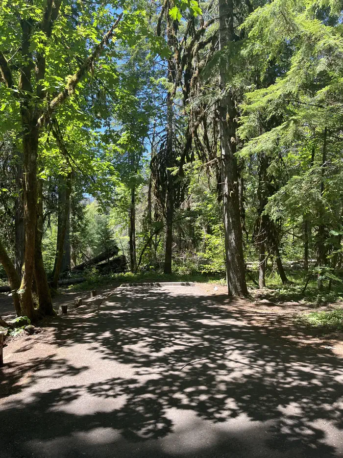 BREITENBUSH CAMPGROUND site 15