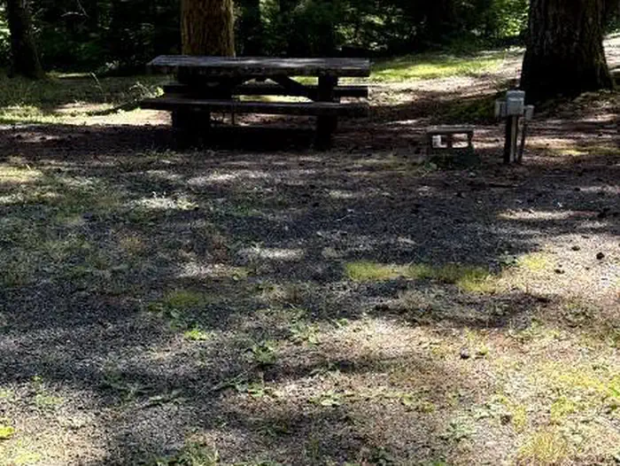 Satsop Campground site 01