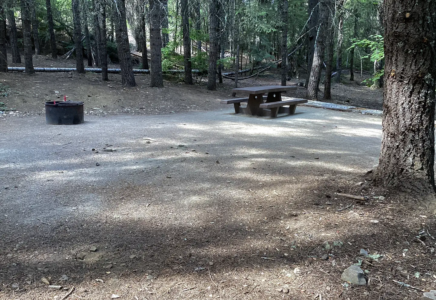 Hoodview Campground (Timothy Lake, OR) site 041