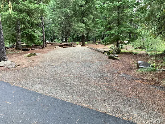Pine Point Campground (Timothy Lake, OR) site 008