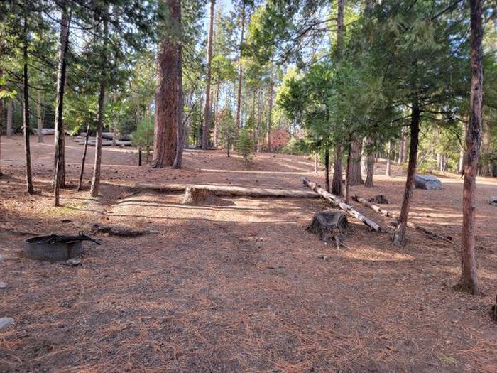 Hodgdon Meadow Campground site 035